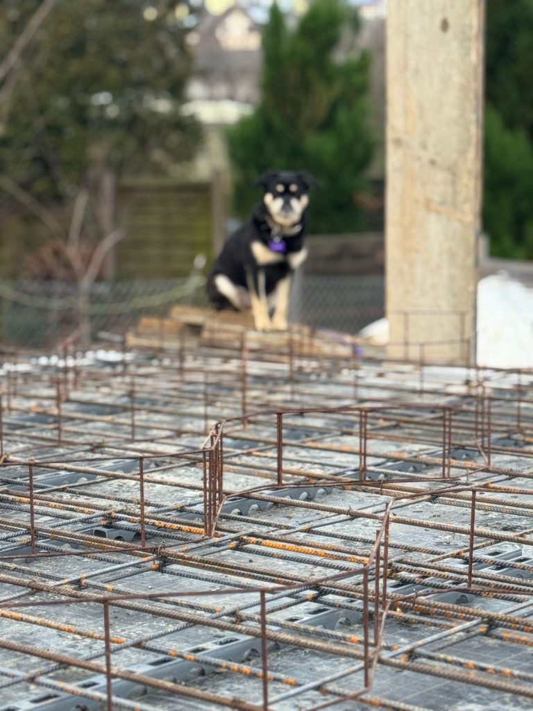 WhatsApp Image 2026-01-15 at 14.16.00