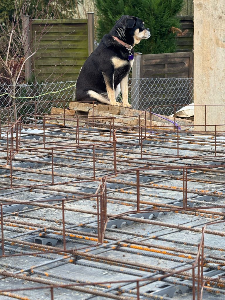 WhatsApp Image 2026-01-15 at 14.16.01