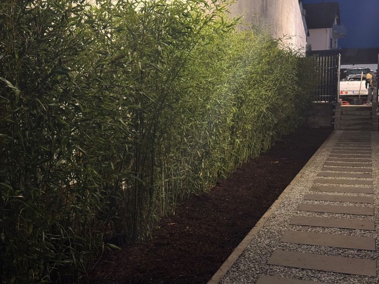 WhatsApp Image 2026-01-15 at 14.16.03 (3)