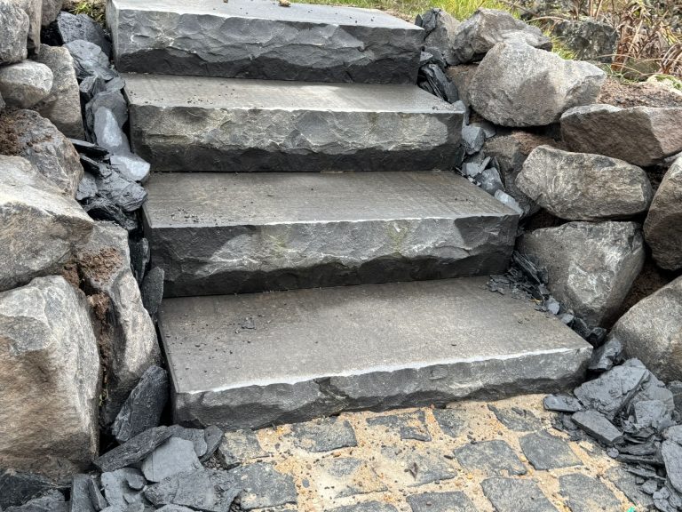 WhatsApp Image 2026-01-15 at 14.16.03