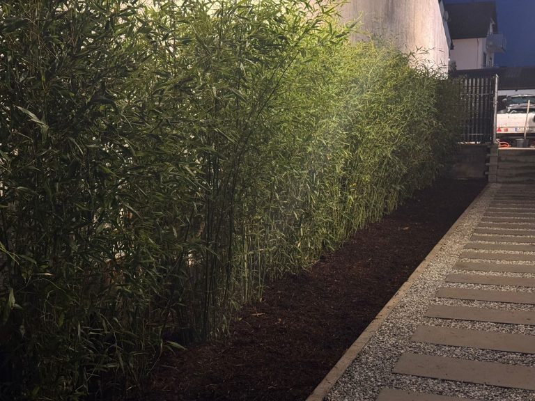 WhatsApp Image 2026-01-15 at 14.16.04