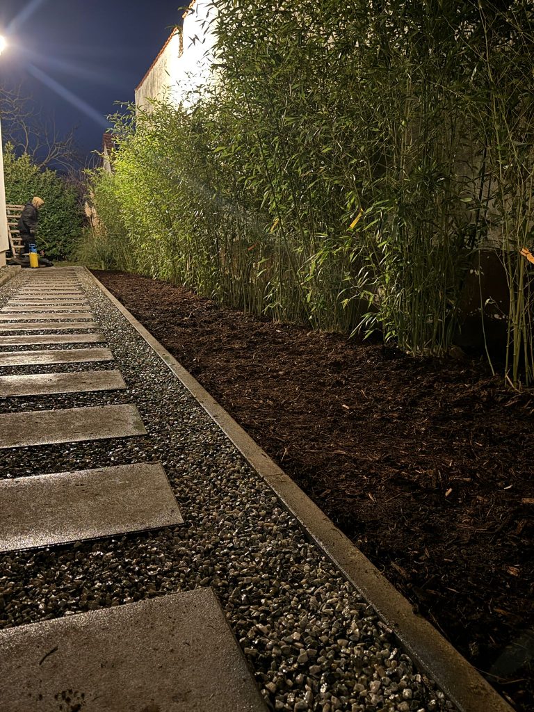 WhatsApp Image 2026-01-15 at 14.16.05 (3)