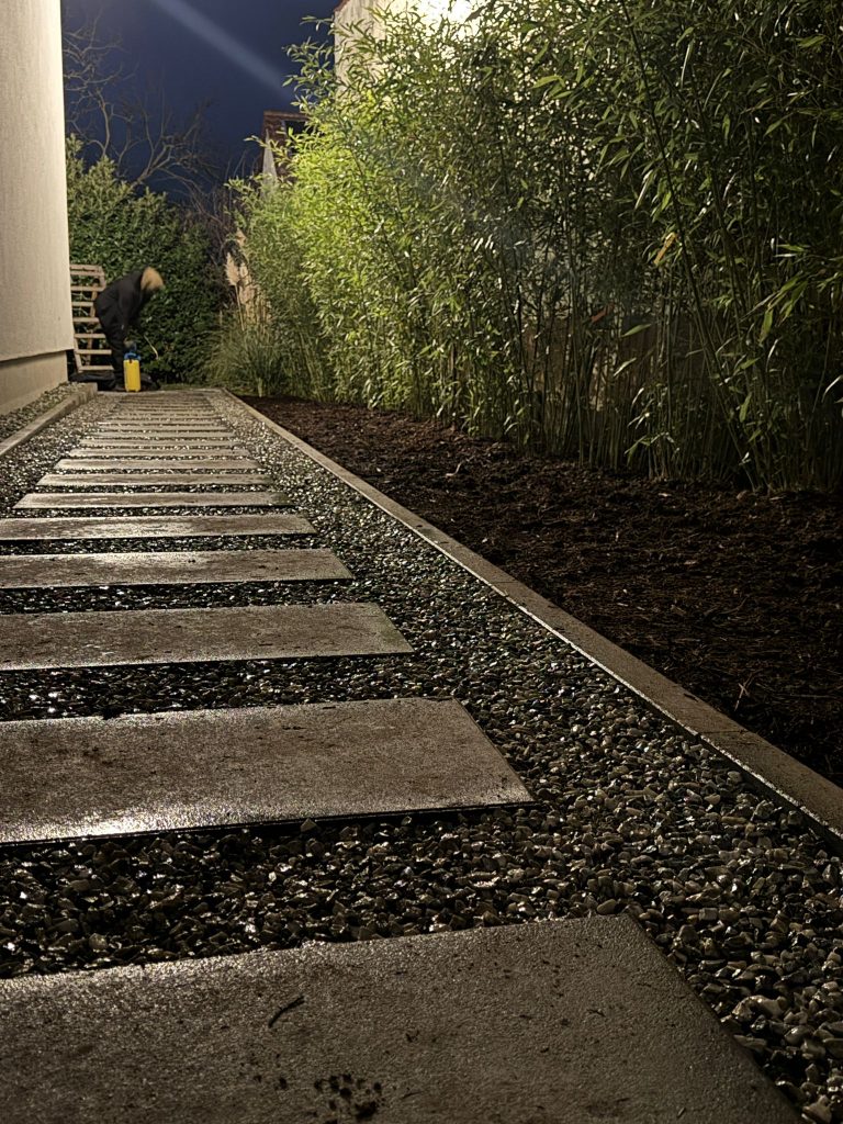 WhatsApp Image 2026-01-15 at 14.16.06