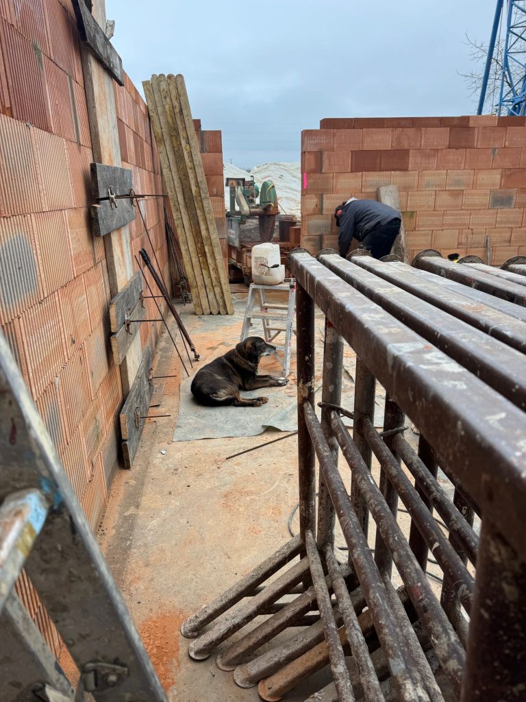 WhatsApp Image 2026-01-15 at 14.16.11 (3)