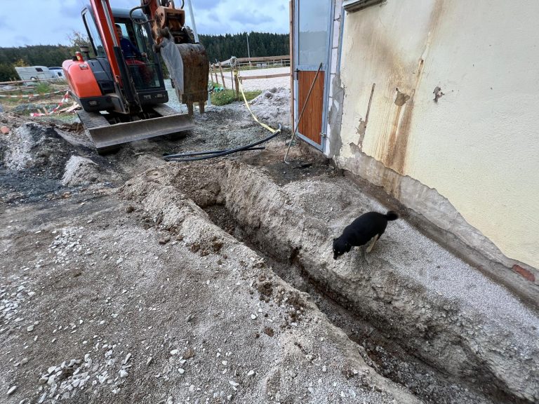 WhatsApp Image 2026-01-15 at 14.26.24 (11)