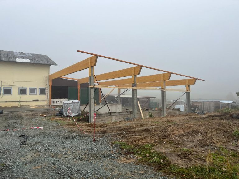 WhatsApp Image 2026-01-15 at 14.26.24 (18)