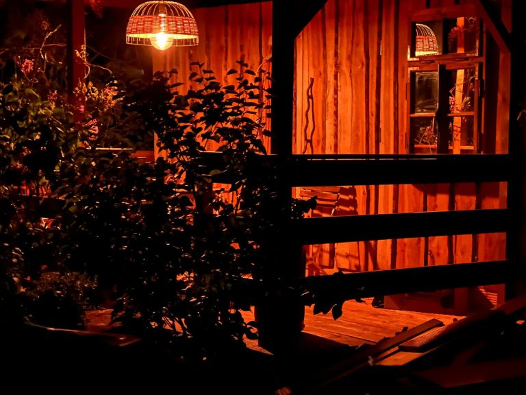 WhatsApp Image 2026-01-15 at 14.26.24