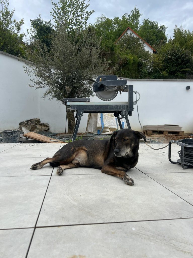 WhatsApp Image 2026-01-15 at 14.32.14 (12)