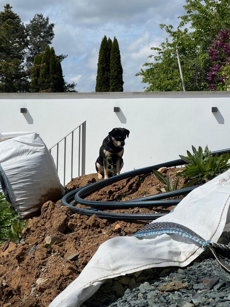 WhatsApp Image 2026-01-15 at 14.32.14 (5)